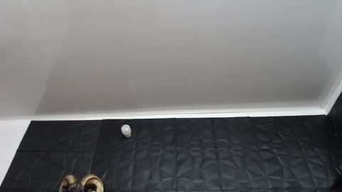 Snapshot of agata_darkness chatting on December 2024 02:54:02 PM Miss Agata online show from December 2024 02:54:02 PM