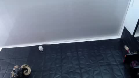  Miss Agata  online show from May 2026 02:03:01 PM