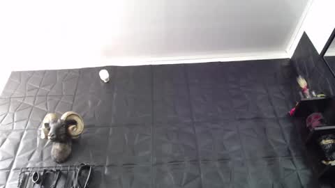  Miss Agata  online show from May 2026 03:29:02 PM