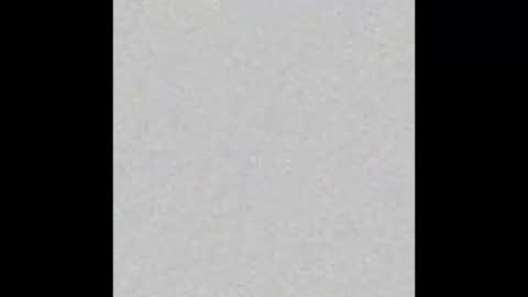 Polly online show from January 2026 06:43:02 PM