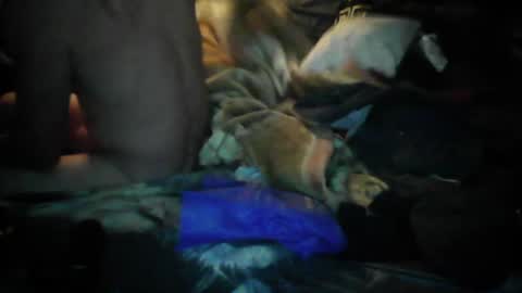 agtanimal online show from July 2026 05:22:01 AM