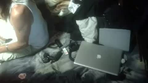 agtanimal online show from July 2026 04:49:02 AM