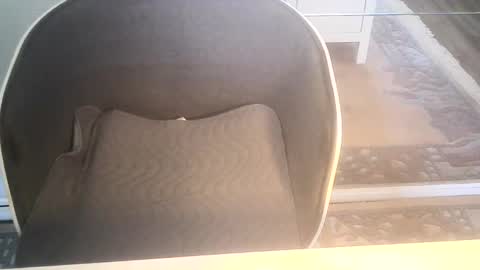 Ole online show from January 2025 09:34:01 AM