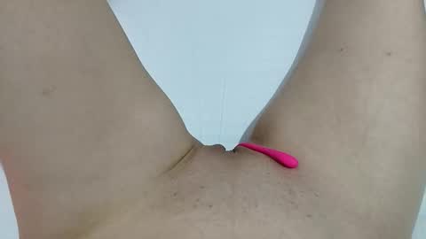 Taylor online show from February 2026 06:26:01 PM