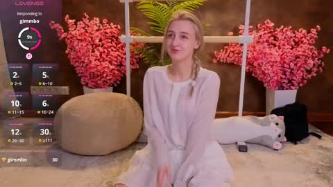 Snapshot of aishiro chatting on February 2025 12:55:02 PM aishiro online show from February 2025 12:55:02 PM