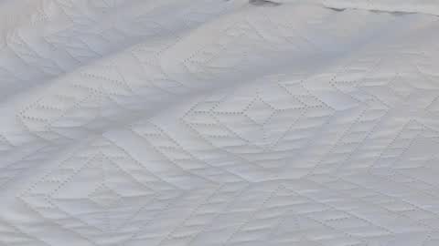 Snapshot of aixa_hill1 chatting on March 2025 08:38:02 PM online show from March 2025 08:38:02 PM