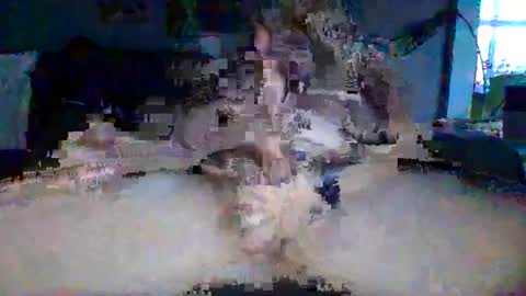 Snapshot of akpchi1984 chatting on March 2026 11:42:01 PM akpchi1984 online show from March 2026 11:42:01 PM