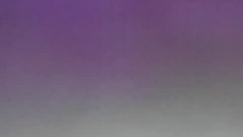 Alaia online show from April 2026 09:34:01 PM