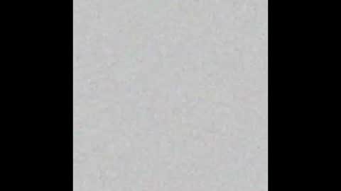 Alan Noir online show from March 2026 11:06:01 AM