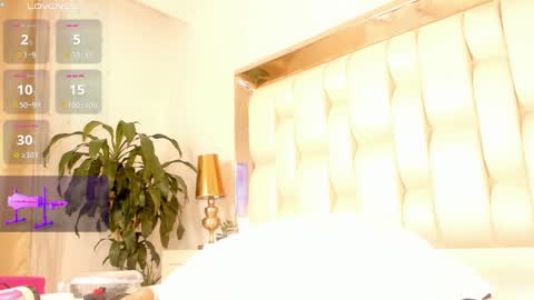       online show from December 2024 02:53:01 AM