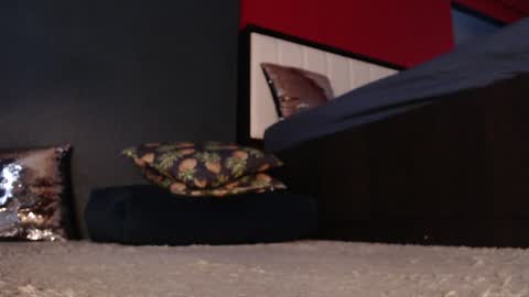 Snapshot of alanna_gold chatting on January 2025 05:20:02 AM Alanna online show from January 2025 05:20:02 AM