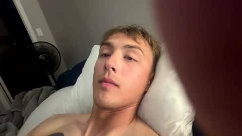 alaskanhorse online show from February 2026 07:59:02 AM