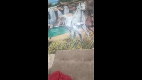 albina online show from February 2026 08:40:01 AM