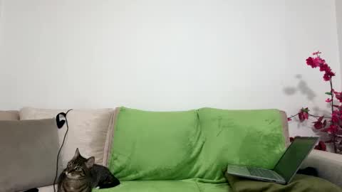 Snapshot of alejo__twinkboy chatting on January 2025 08:11:02 AM alejo__twinkboy online show from January 2025 08:11:02 AM