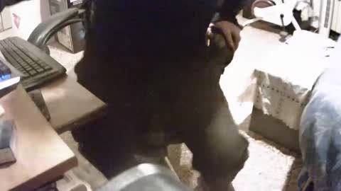 Snapshot of alex81pv1981 chatting on December 2024 06:50:01 PM alex81pv1981 online show from December 2024 06:50:01 PM