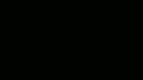 alex online show from December 2024 10:26:02 AM