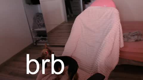 Snapshot of alex_gotcha chatting on September 2025 09:27:02 PM Alex online show from September 2025 09:27:02 PM