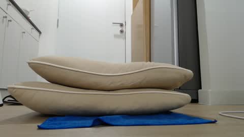 Nicha online show from September 2025 04:47:01 AM