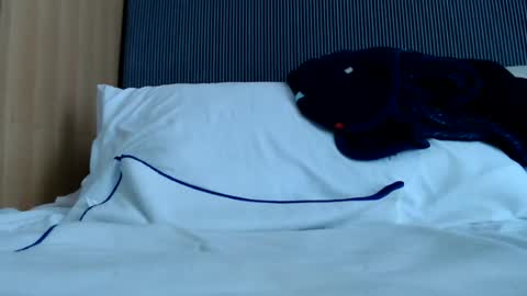 Snapshot of alex_nicha chatting on June 2026 06:33:02 AM Nicha online show from June 2026 06:33:02 AM