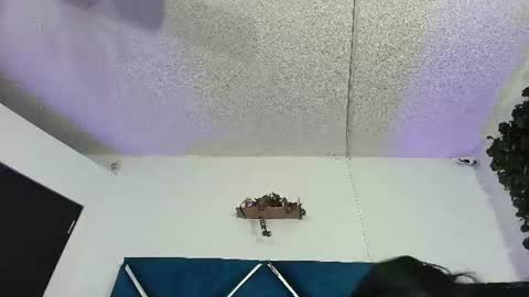 Alexa online show from June 2026 12:19:01 AM
