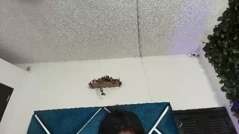Alexa online show from June 2026 11:24:02 PM
