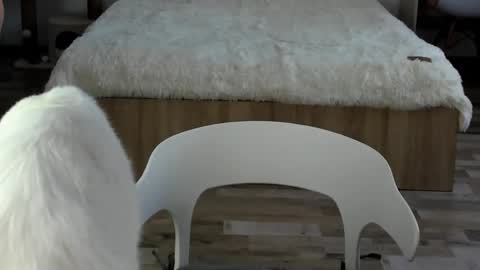 Snapshot of alexarti chatting on February 2026 04:30:01 AM Alex online show from February 2026 04:30:01 AM