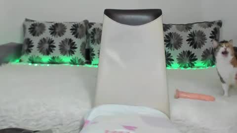 Alexa online show from January 2025 11:23:02 AM