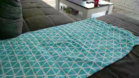 Doggystyle online show from December 2024 11:49:02 AM