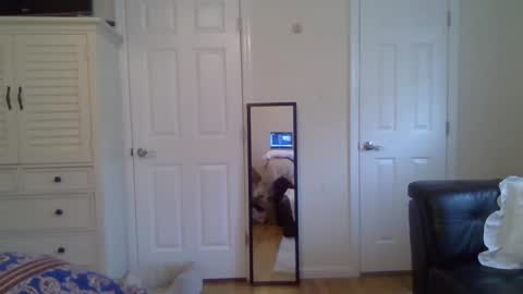 Snapshot of alfal21 chatting on May 2026 09:42:02 PM alfal21 online show from May 2026 09:42:02 PM