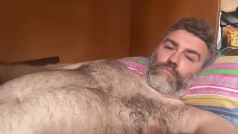 alfali online show from May 2026 02:36:02 PM