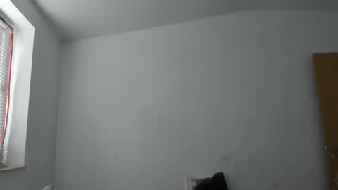 alfiesolomons87 online show from November 2025 09:41:01 AM