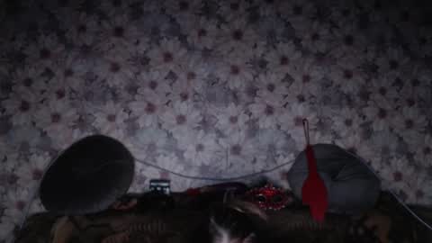 alice longstocking online show from February 2026 03:38:01 PM