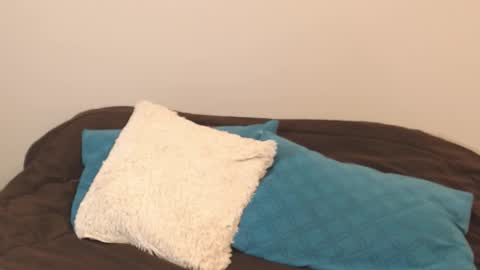 Alice online show from September 2025 04:18:01 PM