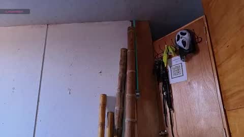 Snapshot of alice_randyy chatting on February 2026 01:17:01 PM alice_randyy online show from February 2026 01:17:01 PM