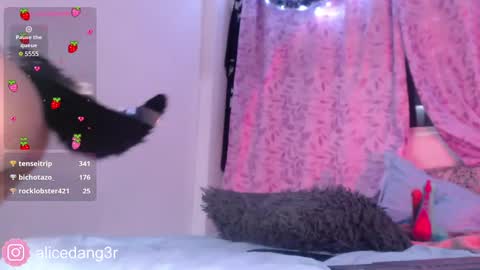 Snapshot of alicedang3r chatting on December 2024 05:13:01 AM Alice online show from December 2024 05:13:01 AM