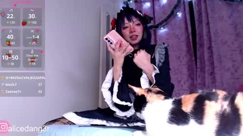 Snapshot of alicedang3r chatting on December 2024 06:11:02 AM Alice online show from December 2024 06:11:02 AM