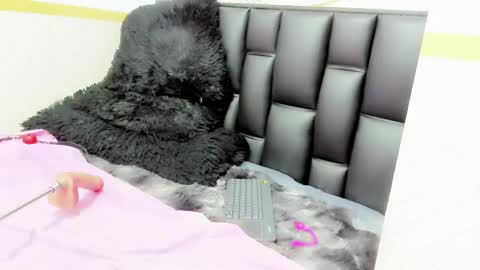 alicee online show from May 2026 09:45:02 PM