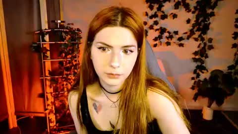 Alice online show from July 2026 05:16:02 AM