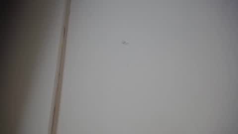 Ali online show from January 2025 12:15:02 PM