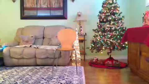 Alicia deHart  Help me reach 1000 Followers. Its FREE online show from December 2025 07:51:01 PM