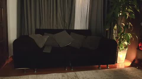 aliciawonderxx online show from June 2026 12:33:02 AM