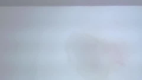     online show from September 2025 07:58:01 PM