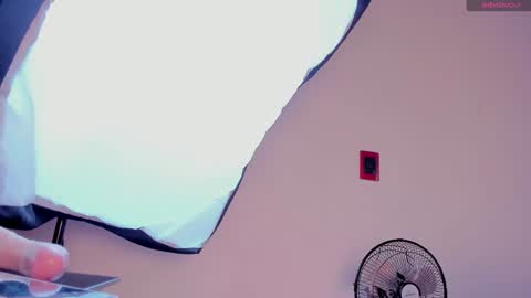 Alice online show from December 2024 12:49:01 PM