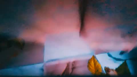 Alina online show from June 2026 03:23:01 PM