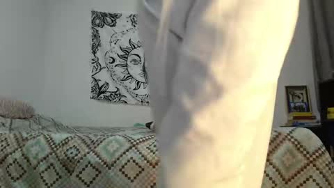 Snapshot of alinawoolf_ chatting on December 2024 02:56:02 AM Ali online show from December 2024 02:56:02 AM