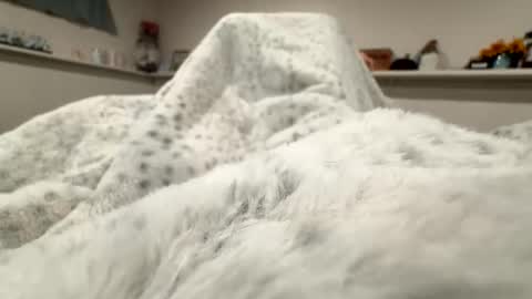 aliosis1 online show from April 2026 03:20:01 AM