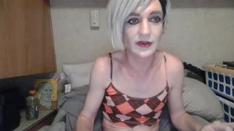 Alisha online show from June 2026 03:01:01 AM