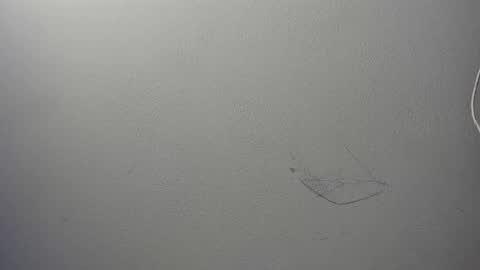 alison smith online show from January 2025 06:51:02 PM