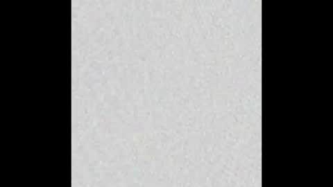 Alisse online show from January 2026 11:59:02 AM