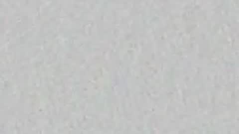 Ali online show from May 2026 11:40:02 AM